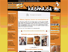 Tablet Screenshot of kachna.cz